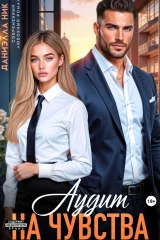 Обложка книги «Аудит на чувства»