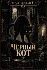 Обложка книги «Черный кот»
