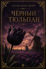 Обложка книги «Черный тюльпан»