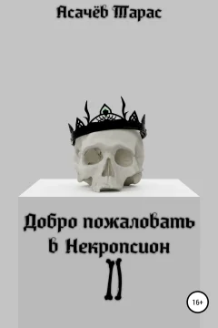 Обложка книги «Добро пожаловать в Некропсион II»