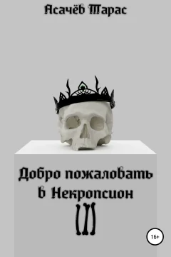 Обложка книги «Добро пожаловать в Некропсион III»