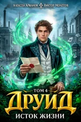 Обложка книги «Друид. Том 4. Исток Жизни»