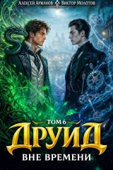 Обложка книги «Друид. Том 6. Вне времени»