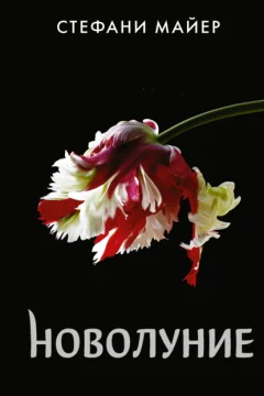 Обложка книги «Новолуние»