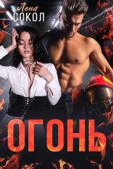 Обложка книги «Огонь»