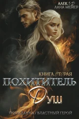 Обложка книги «Похититель душ 2»