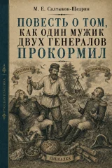 Обложка книги «Повесть о том, как один мужик двух генералов прокормил»