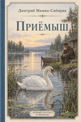 Обложка книги «Приемыш»