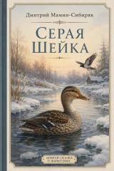 Обложка книги «Серая Шейка»