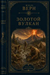 Обложка книги «Золотой вулкан»